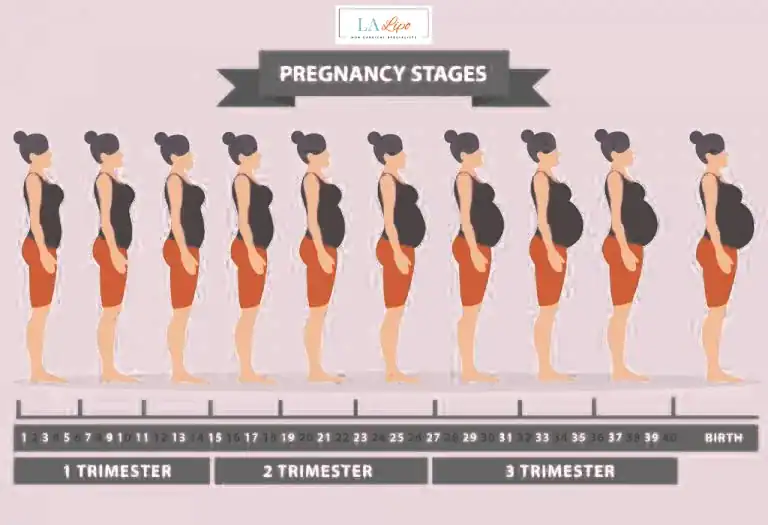 First Trimester (Weeks 1–12): Early Changes You Might Not Notice Welford-on-Avon